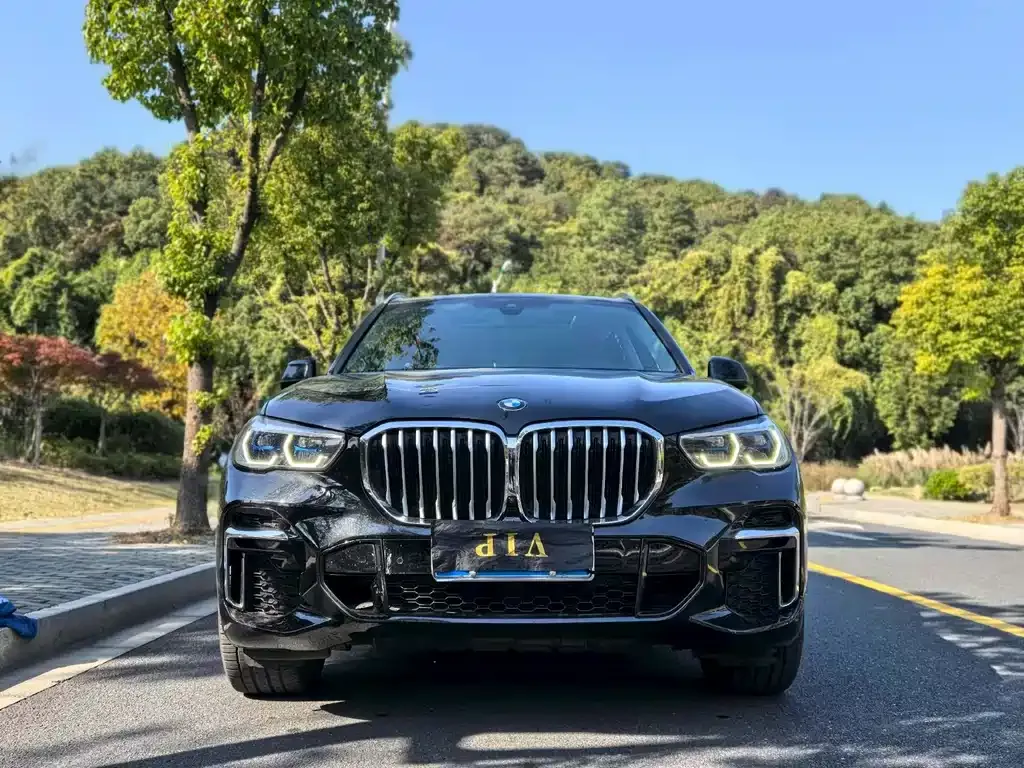 BMW X5 (Import) 2022 из CN, фото 8