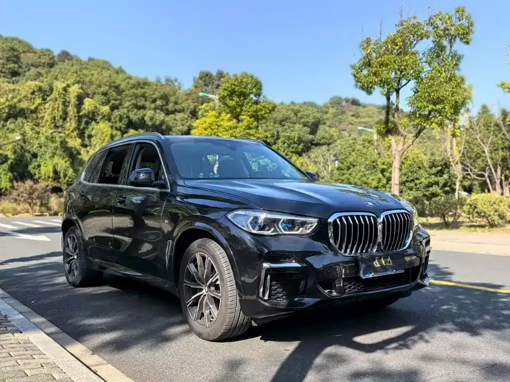 BMW X5 (Import) 2022 из CN, фото 9