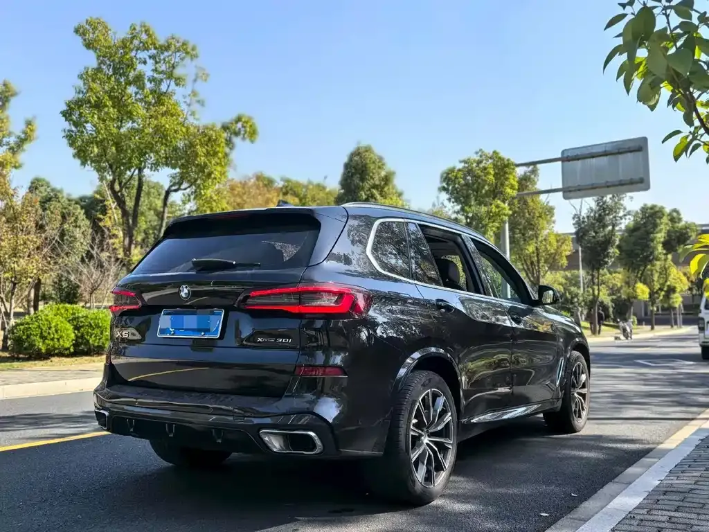 BMW X5 (Import) 2022 из CN, фото 10