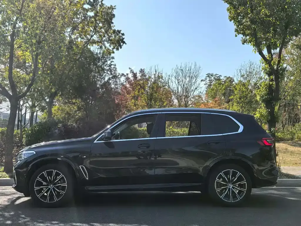 BMW X5 (Import) 2022 из CN, фото 6