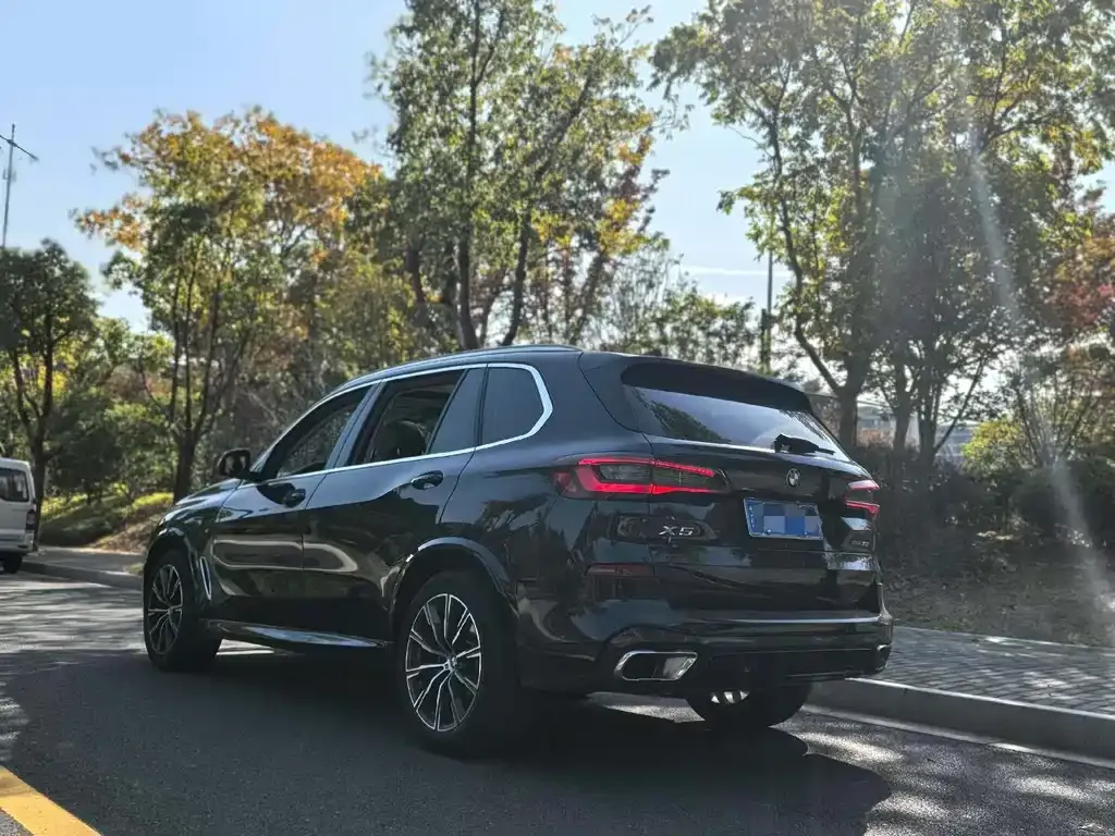 BMW X5 (Import) 2022 из CN, фото 7