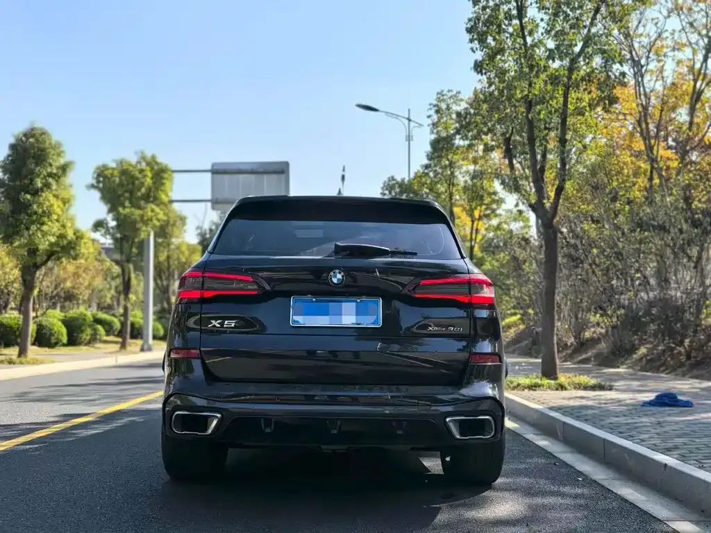 BMW X5 (Import) 2022 из CN, фото 5
