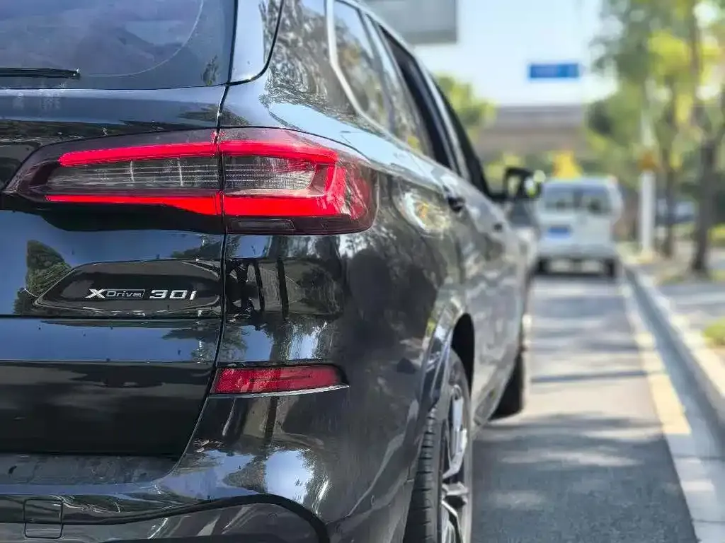 BMW X5 (Import) 2022 из CN, фото 4
