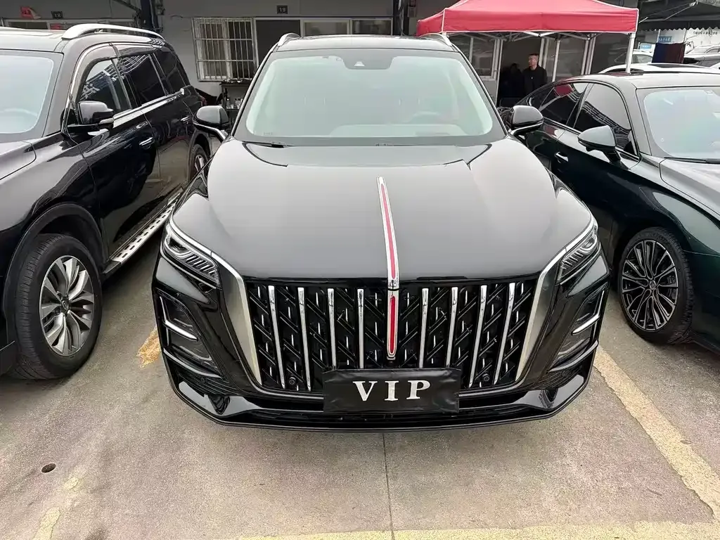 Hongqi HS5 2024 из CN, фото 8