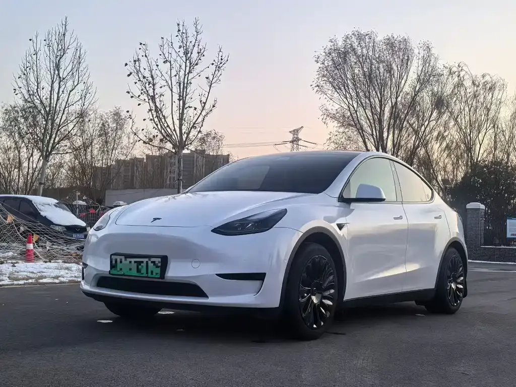 Tesla Model Y — фото 1