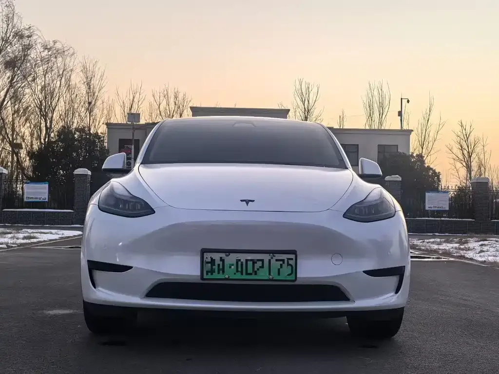 Tesla Model Y — фото 2