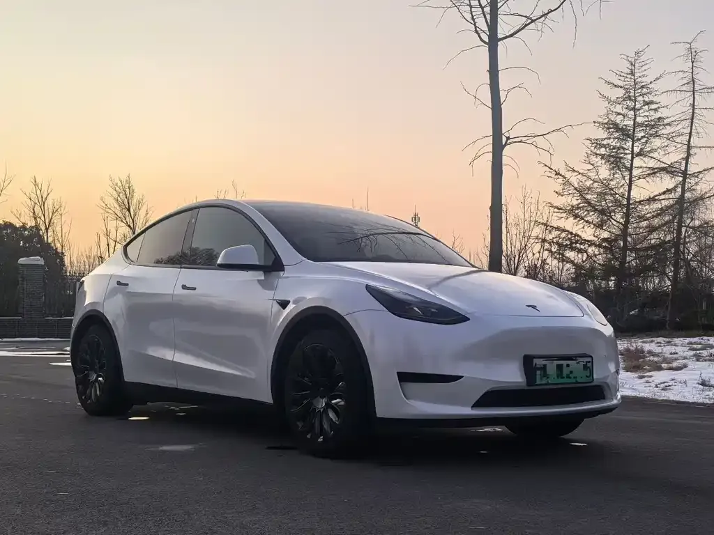 Tesla Model Y — фото 3