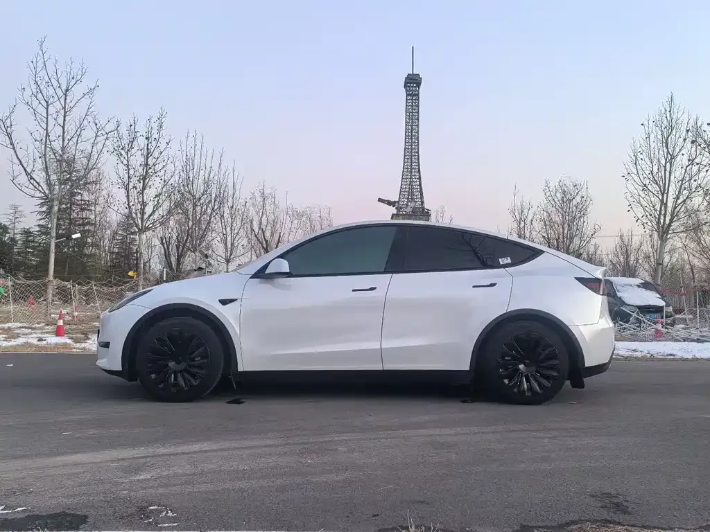 Tesla Model Y — фото 7