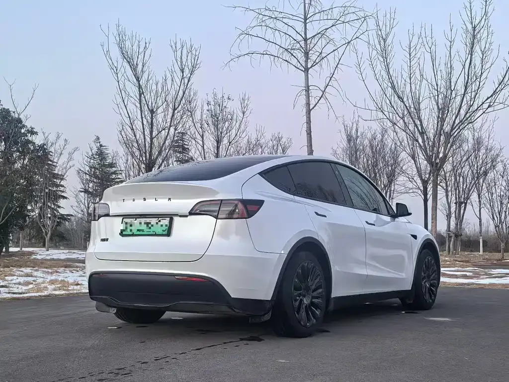 Tesla Model Y — фото 8