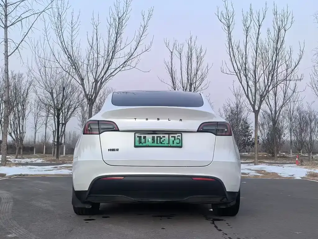 Tesla Model Y — фото 9