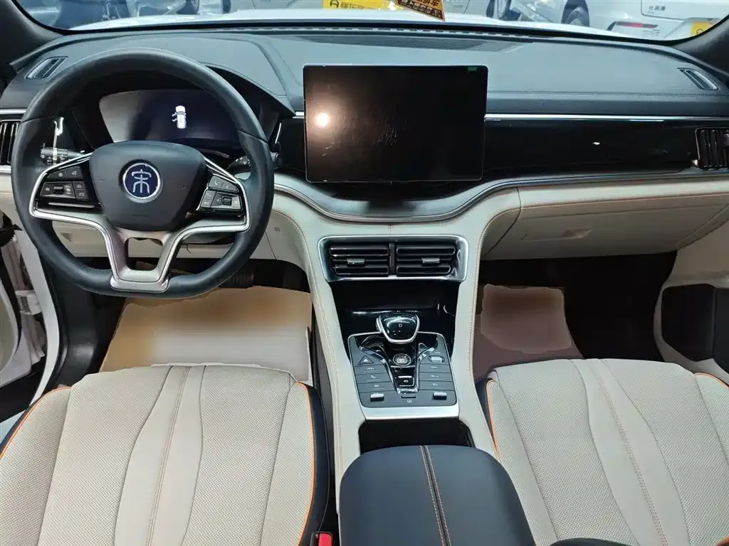 BYD PLUS New Energy — фото 10