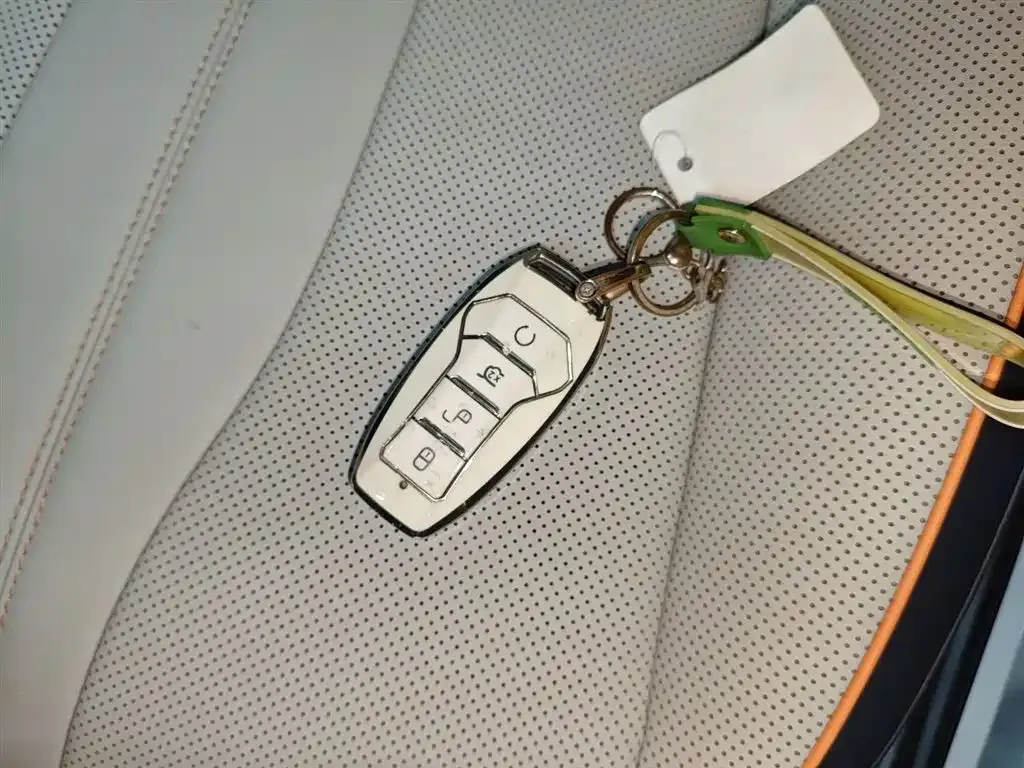 BYD PLUS New Energy — фото 9