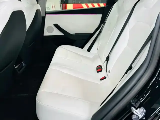 Tesla Model 3 2025 из CN, фото 5