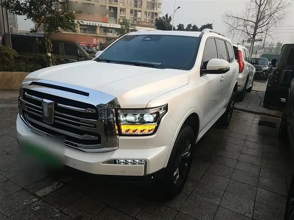 Tank 500 New Energy 2024 из CN, фото 10
