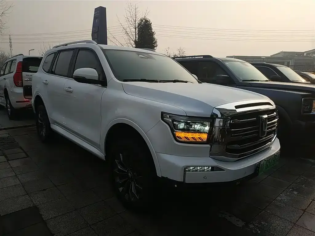 Tank 500 New Energy 2024 из CN, фото 8