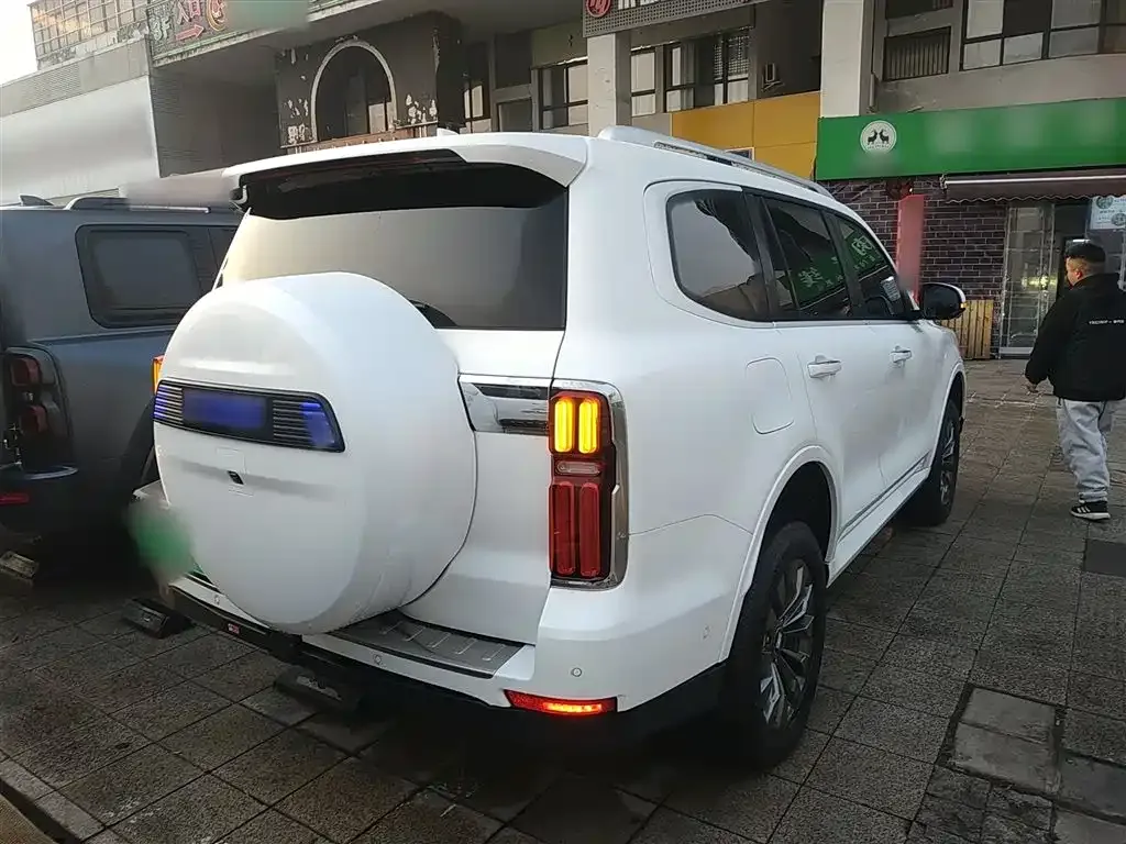 Tank 500 New Energy 2024 из CN, фото 9