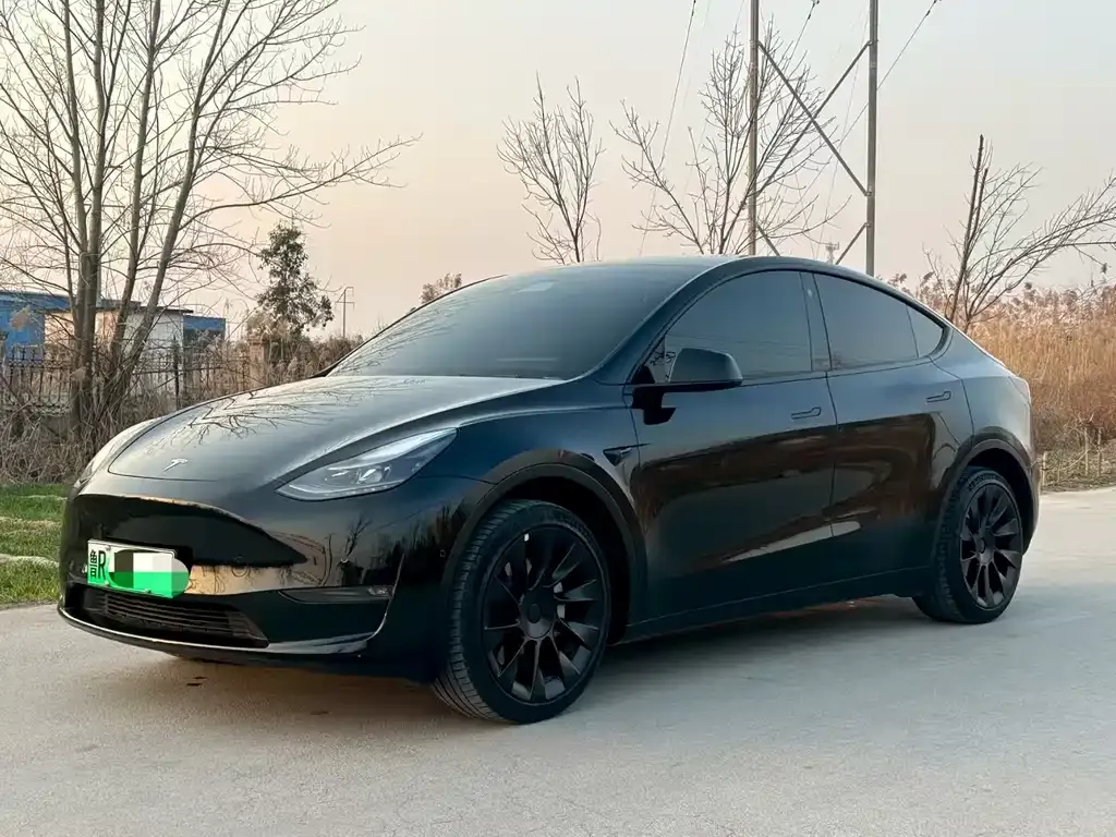 Tesla Model Y 2024 из CN, фото 1