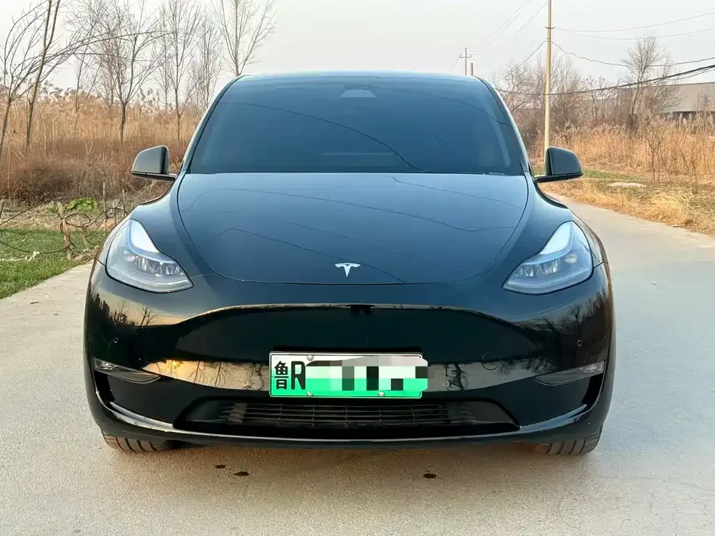 Tesla Model Y 2024 из CN, фото 4