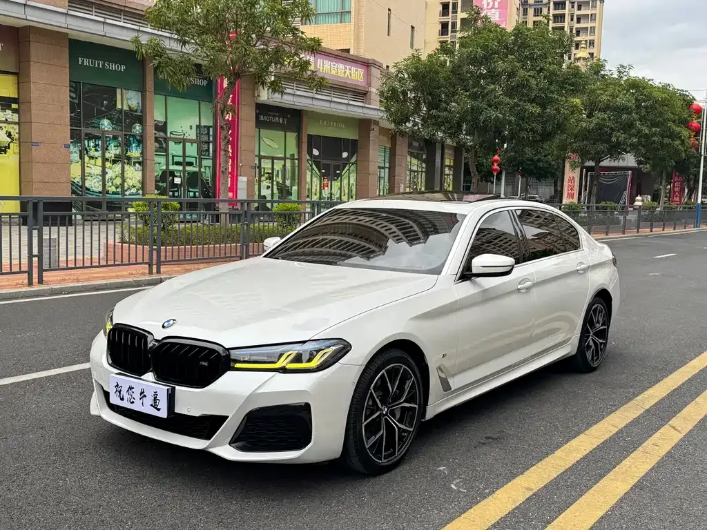 BMW 5 Series 2022 из CN, фото 1