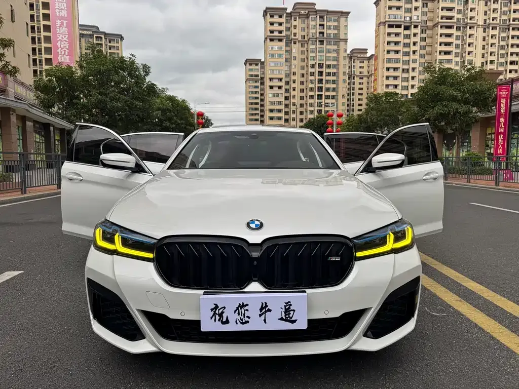 BMW 5 Series 2022 из CN, фото 3