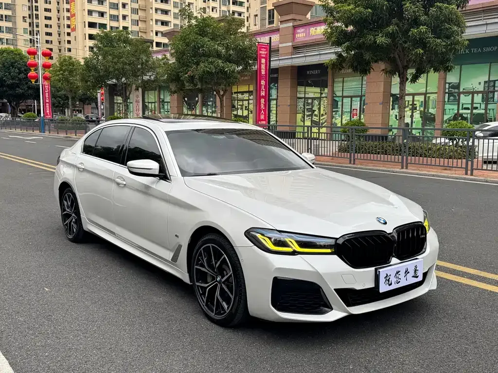 BMW 5 Series 2022 из CN, фото 9