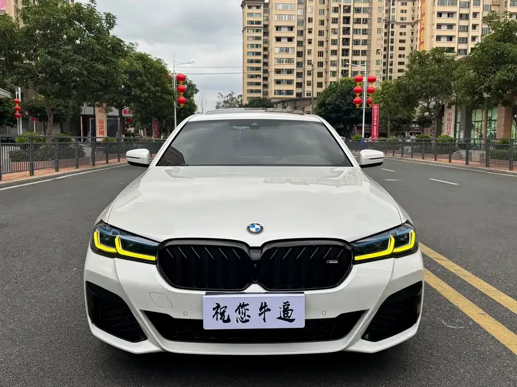 BMW 5 Series 2022 из CN, фото 8