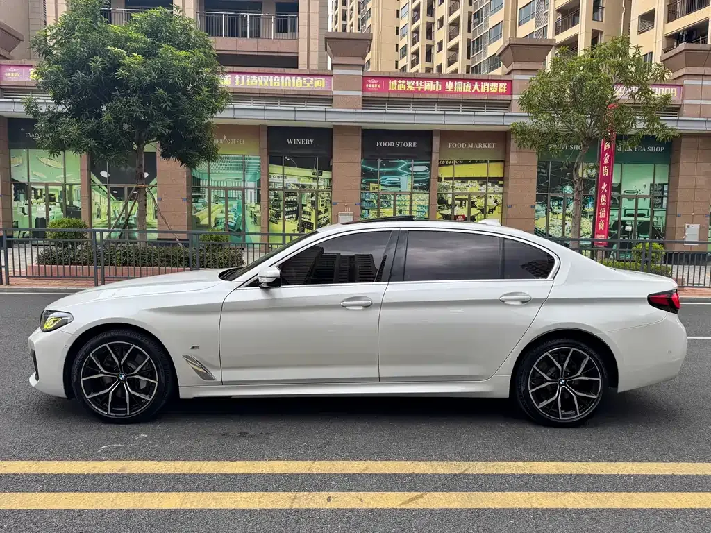 BMW 5 Series 2022 из CN, фото 7