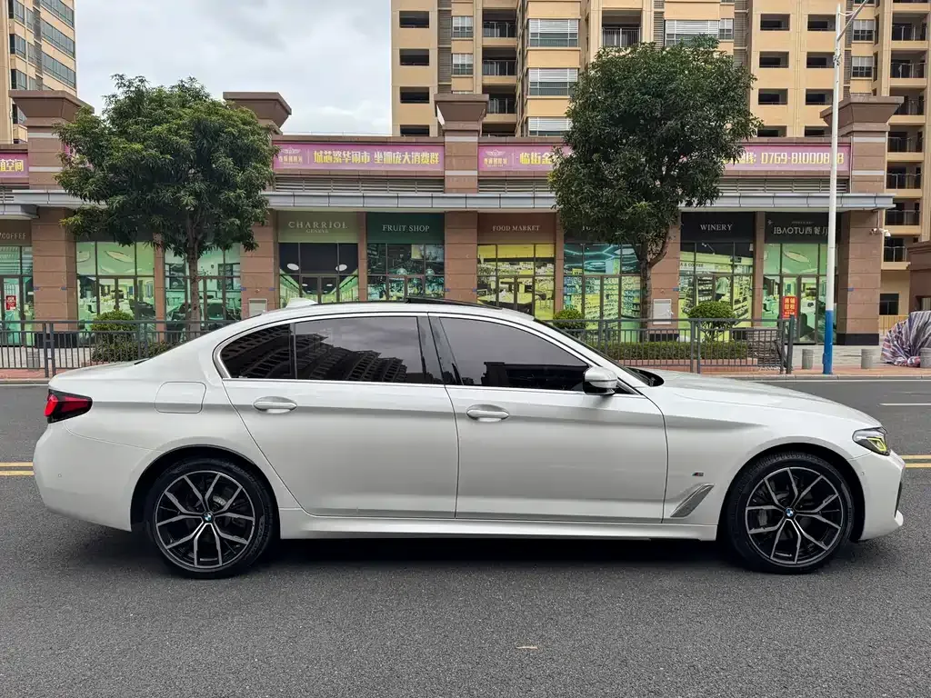 BMW 5 Series 2022 из CN, фото 6