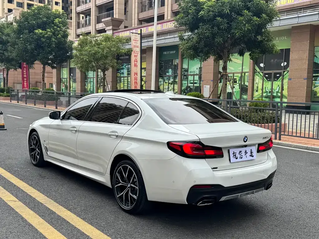 BMW 5 Series 2022 из CN, фото 4