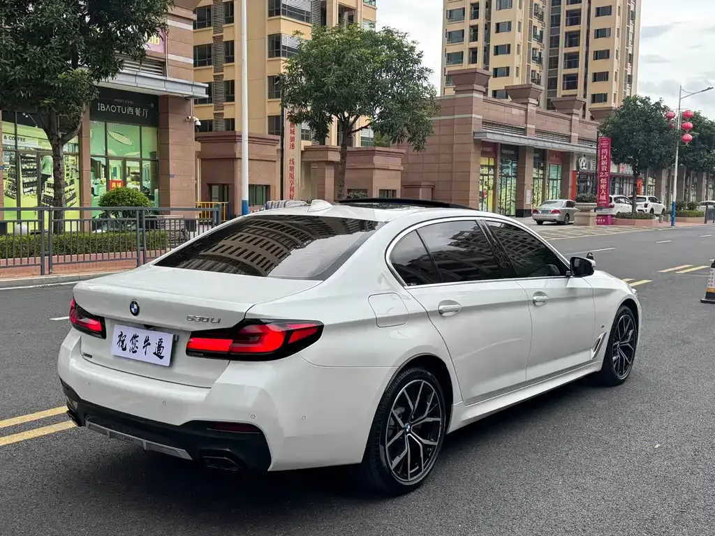 BMW 5 Series 2022 из CN, фото 5