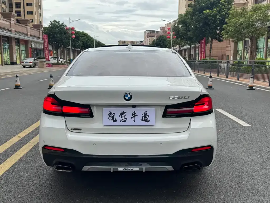 BMW 5 Series 2022 из CN, фото 10