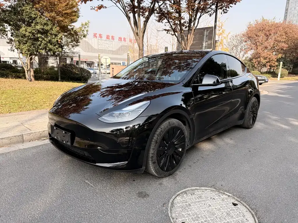 Tesla Model Y 2022 из CN, фото 1
