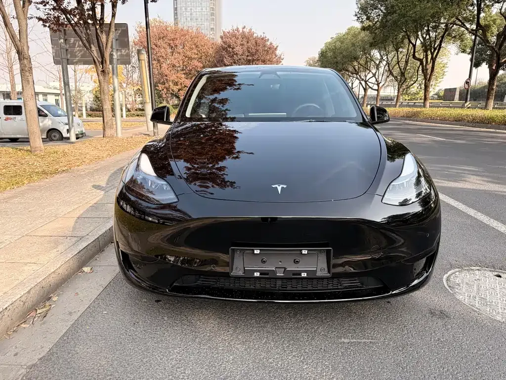 Tesla Model Y 2022 из CN, фото 2