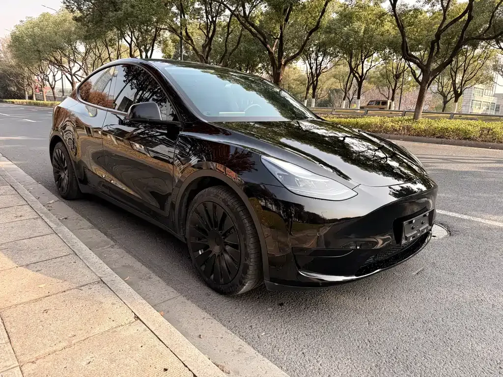Tesla Model Y 2022 из CN, фото 3