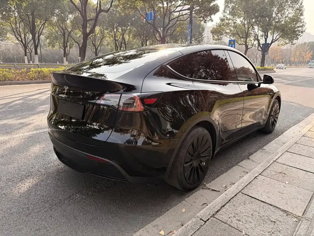 Tesla Model Y 2022 из CN, фото 6