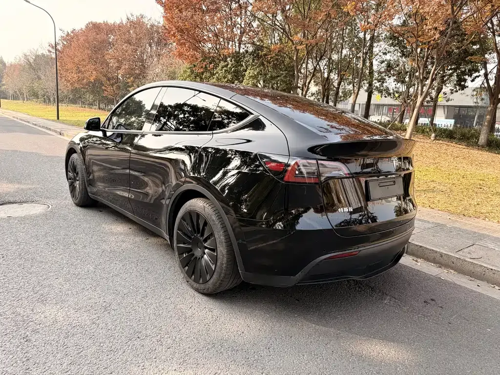 Tesla Model Y 2022 из CN, фото 8
