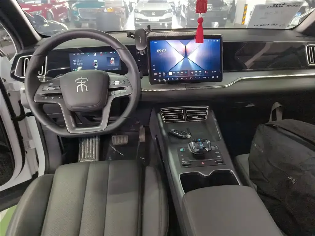 BYD Pro New Energy 2025 из CN, фото 10