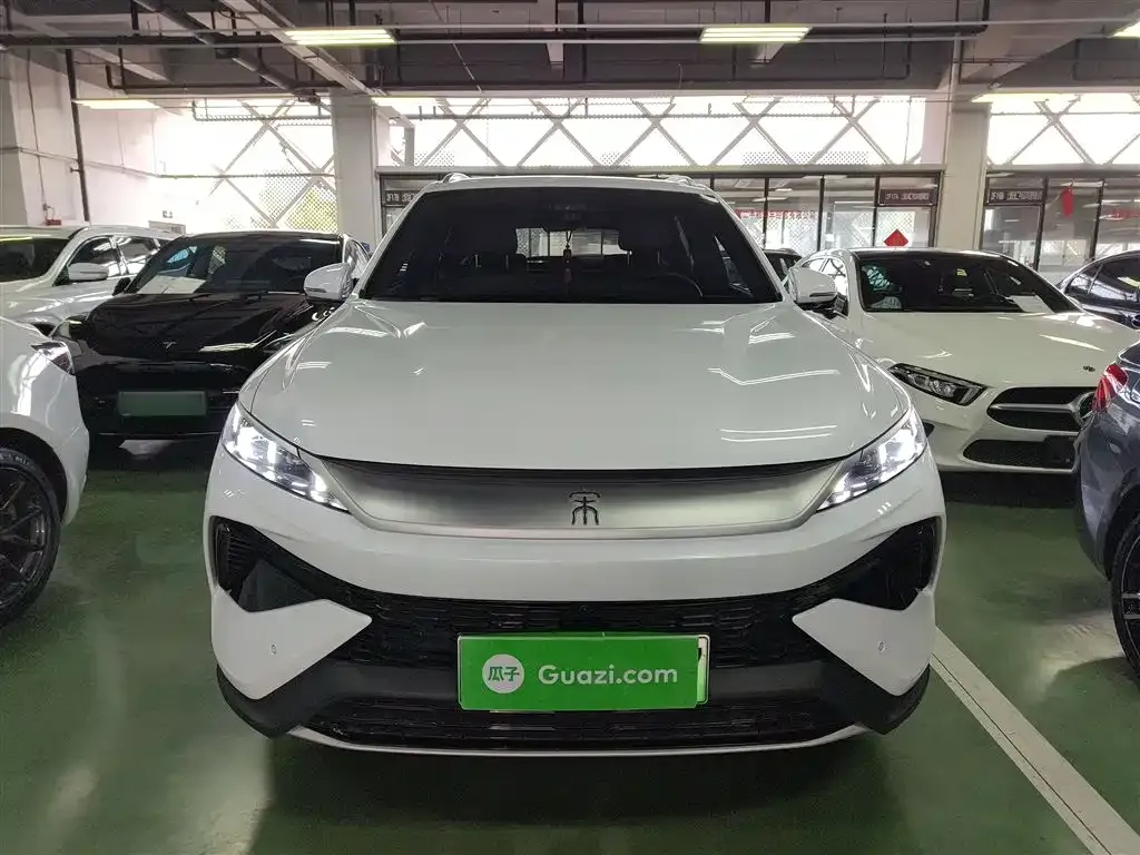 BYD Pro New Energy 2025 из CN, фото 3