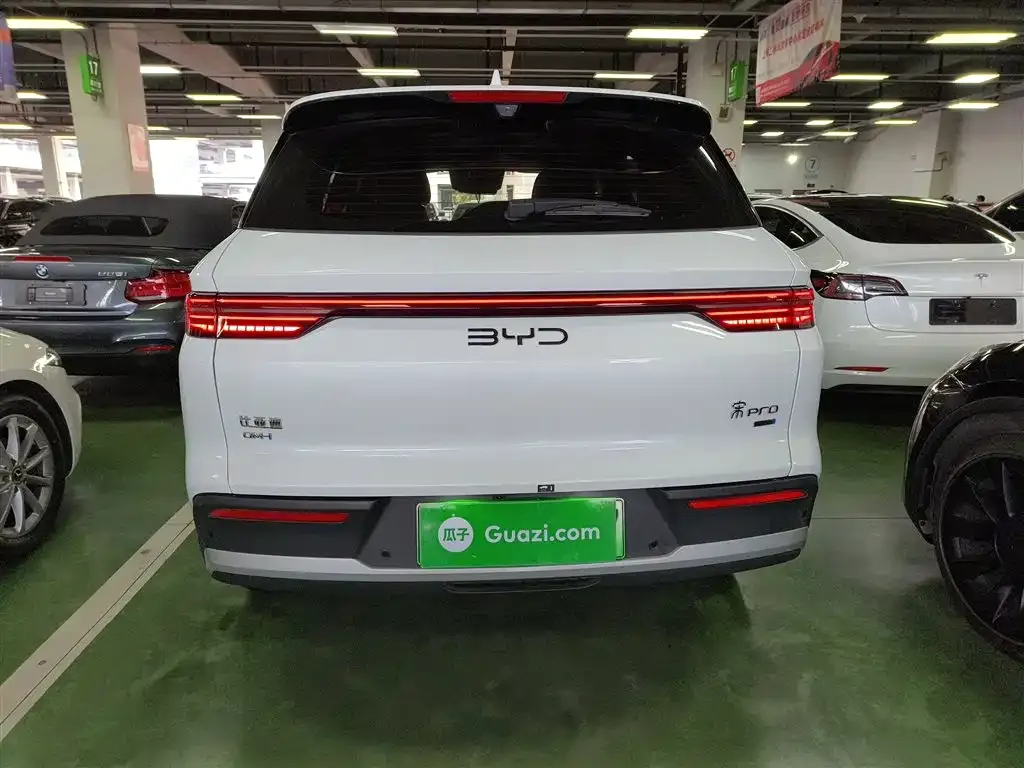 BYD Pro New Energy 2025 из CN, фото 6