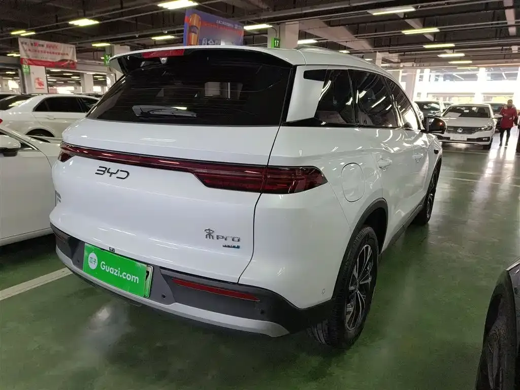 BYD Pro New Energy 2025 из CN, фото 7