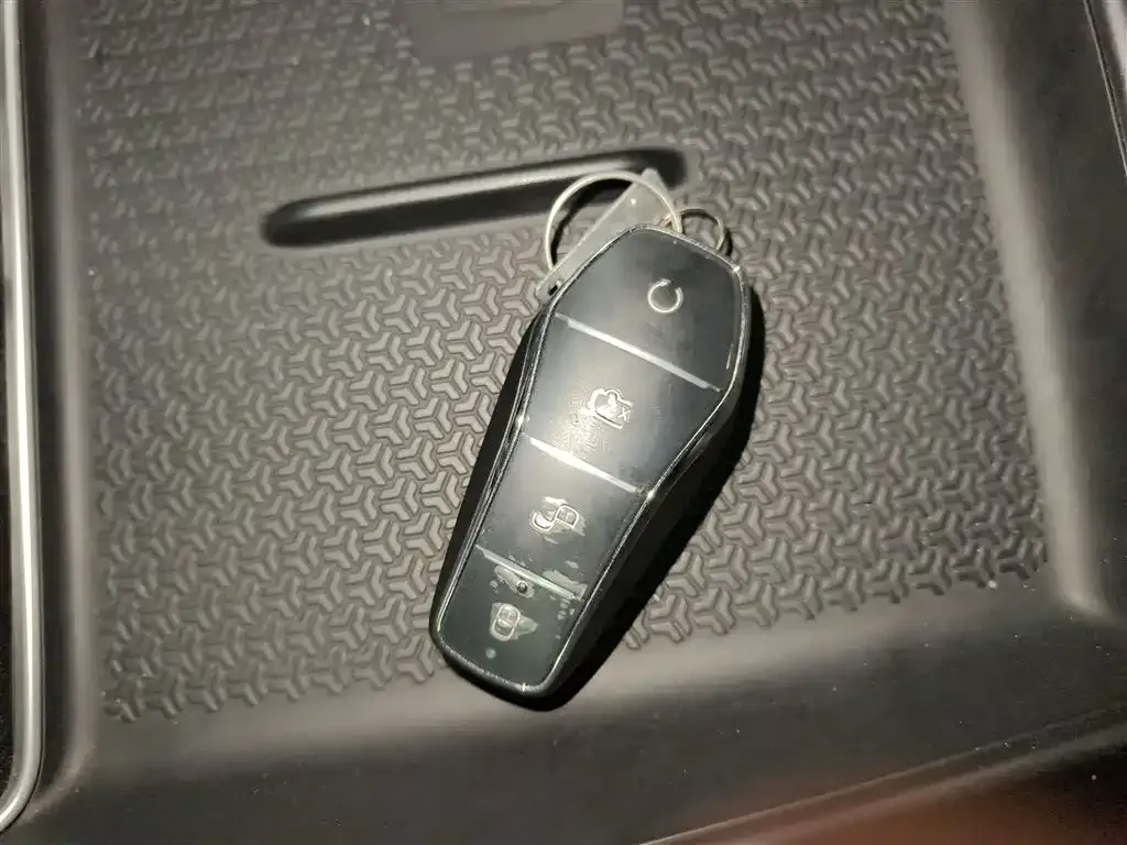 BYD Pro New Energy 2025 из CN, фото 9