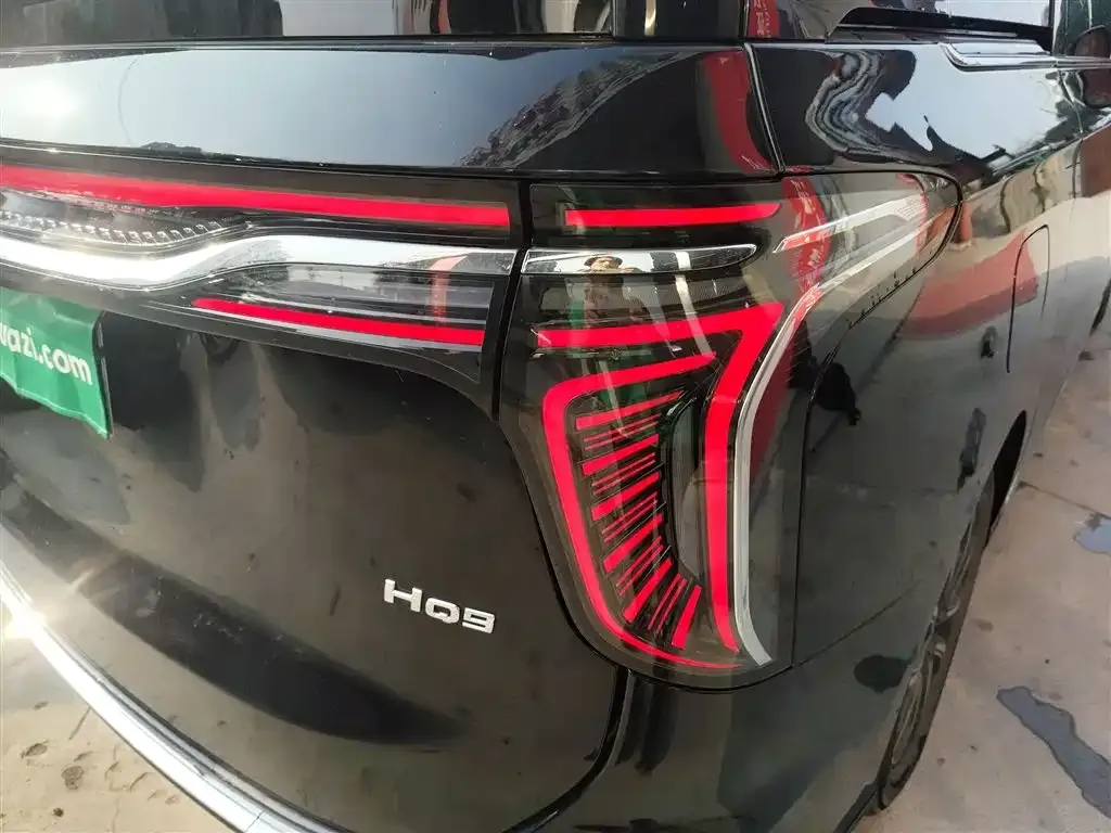 Hongqi HQ9 2023 из CN, фото 10