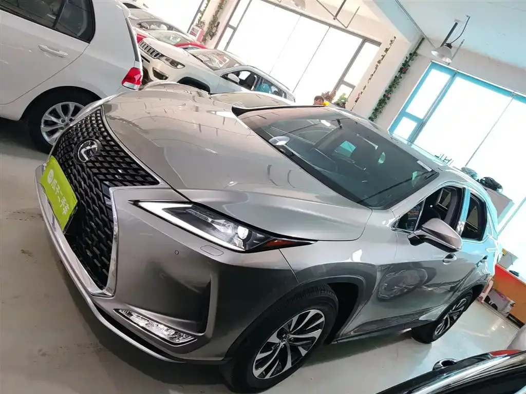 Lexus RX 2021 из CN, фото 8