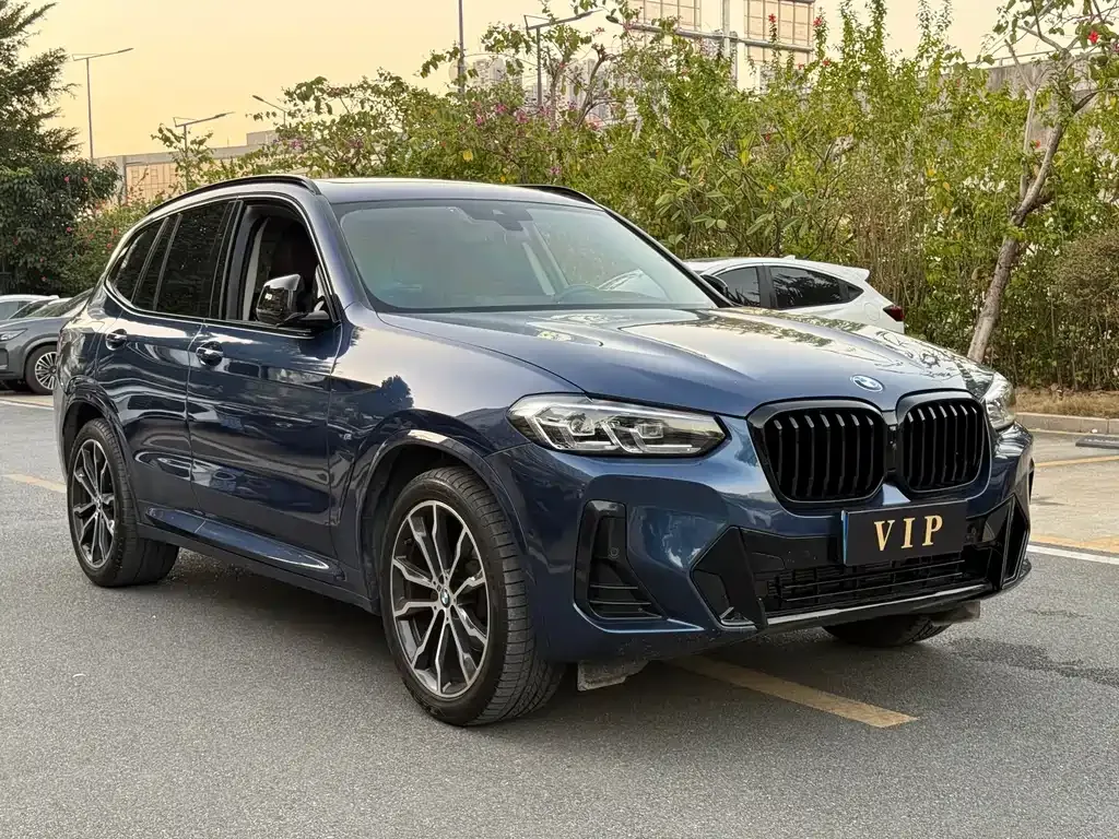 BMW X3 2022 из CN, фото 6