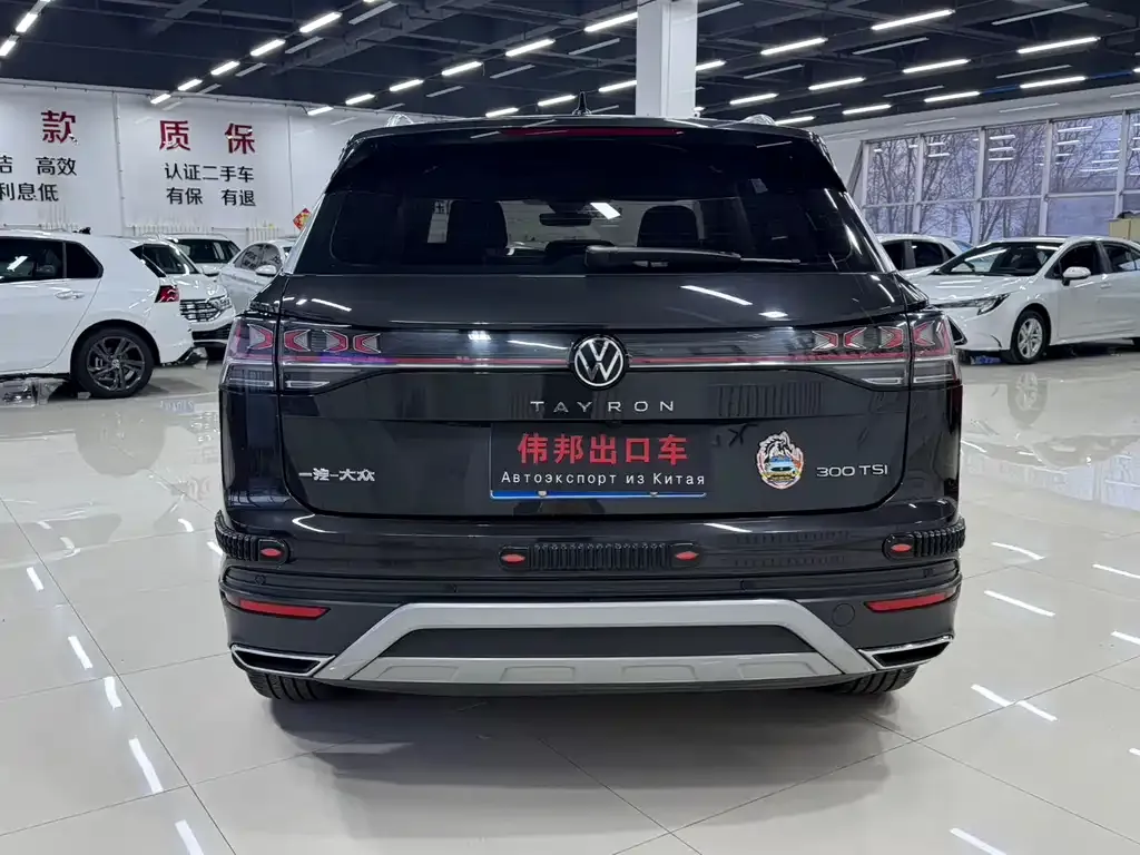 [object Object] Tayron 2023 из CN, фото 5