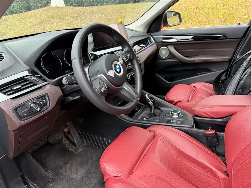 BMW X1 2023 из CN, фото 8
