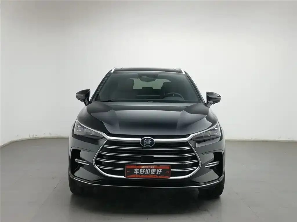 BYD Tang New Energy 2023 из CN, фото 3