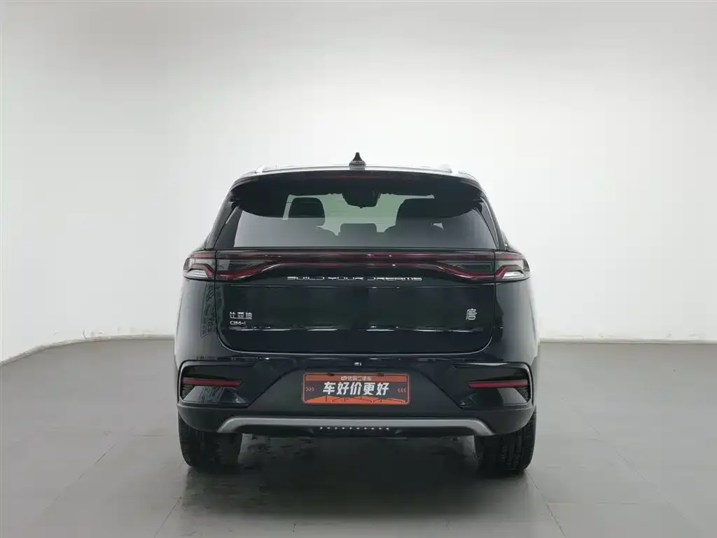 BYD Tang New Energy 2023 из CN, фото 7
