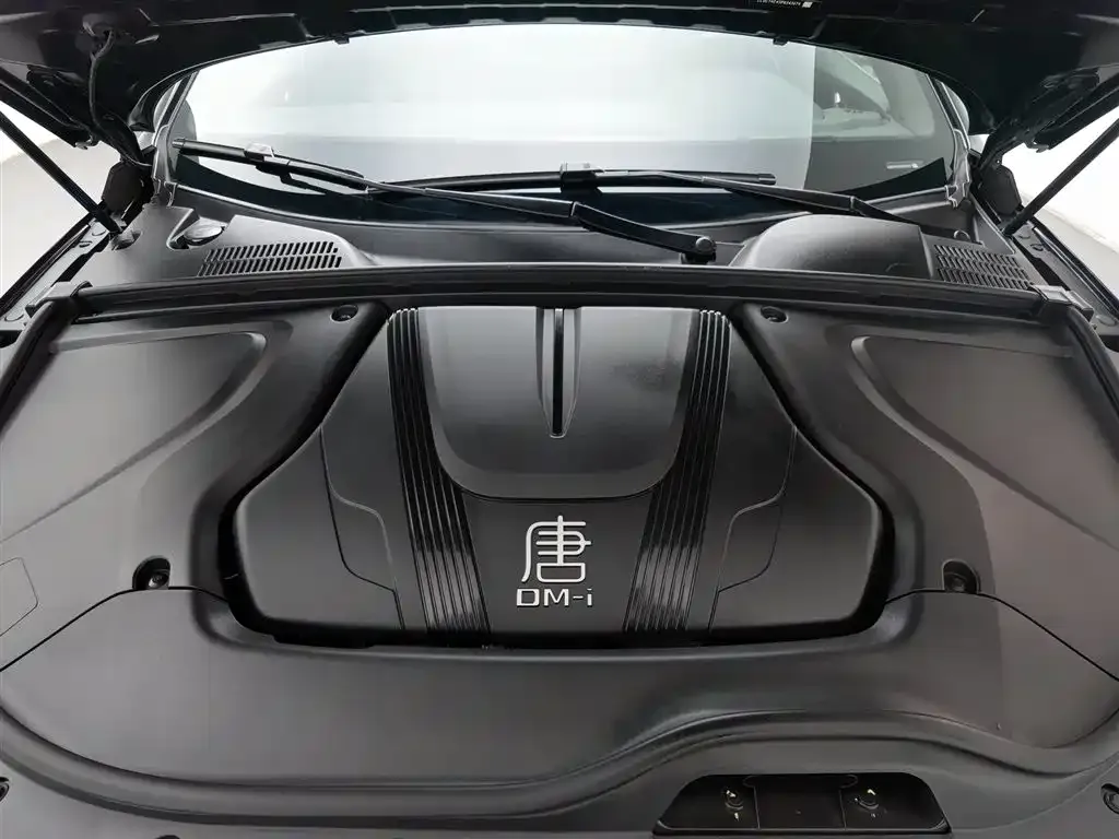 BYD Tang New Energy 2023 из CN, фото 2