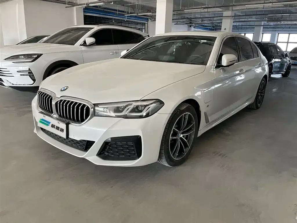 BMW 5 Series New Energy 2021 из CN, фото 1